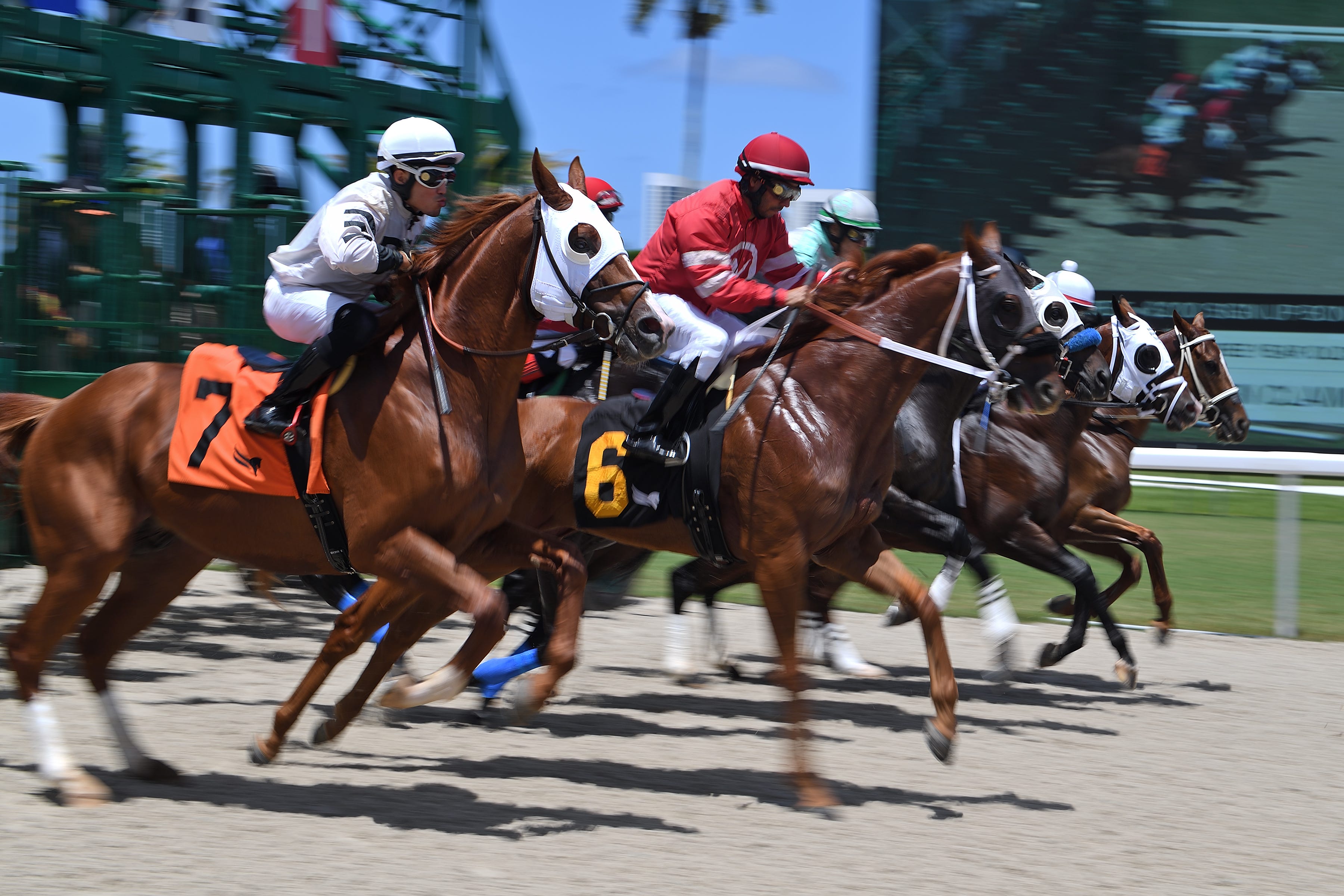 DRF's Horse Racing Playbook for Saturday,